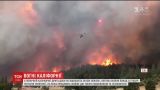 У Північній Каліфорнії лісова пожежа охопила 12,5 тисяч гектарів території
