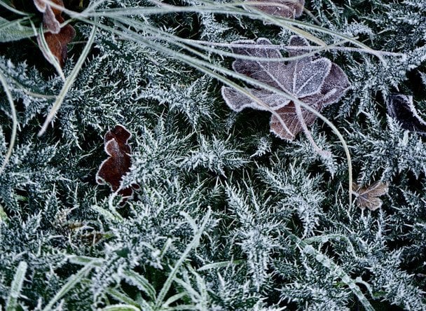 За словами Анатолія Замулко, енергосистема України готова до звичних зимових температур / © unsplash.com