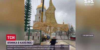 Ялинка в капелюсі: у центрі Києва монтують головне дерево країни