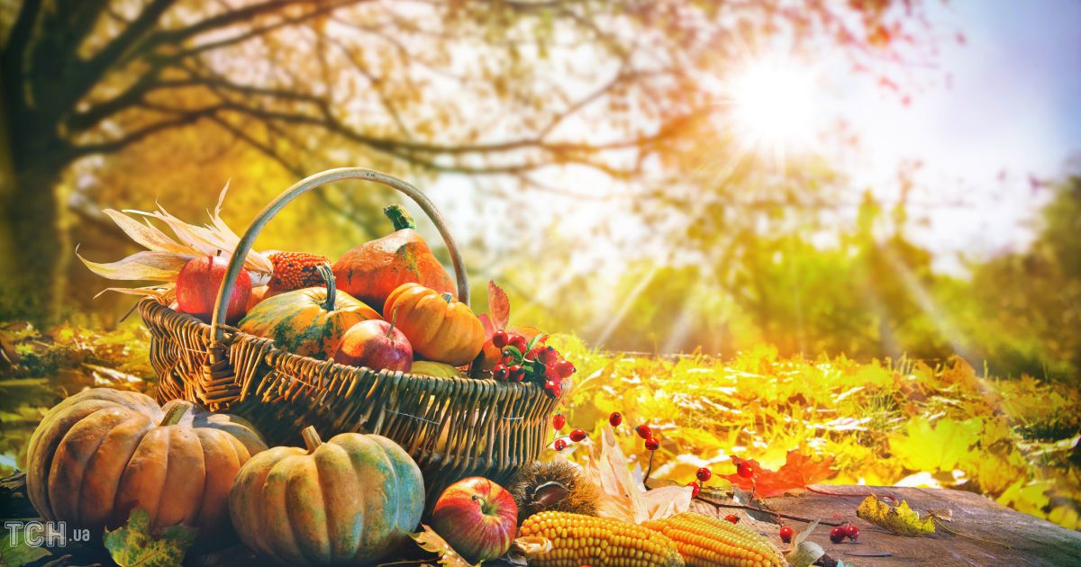 Гороскоп на 15 жовтня для всіх знаків зодіаку: день, коли всі справи приречені на успіх