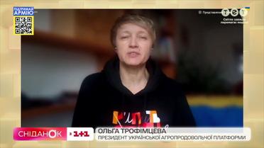 Ольга Трофімцева про прогнози експертів щодо харчового запасу в Україні