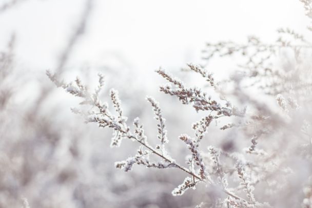 Народні прикмети 10 січня / © Pexels