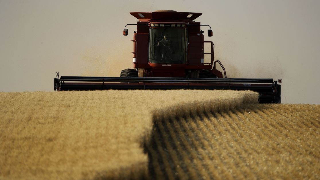 Війна Росї проти України: Росіяни вивезли з окупованої Луганщини 100 тис.  тонн зерна — Укрaїнa — tsn.ua