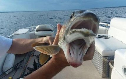 Американка поймала рыбу с двумя ртами в озере, "в котором водится чудовище"