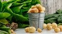 Как быстро почистить молодой картофель