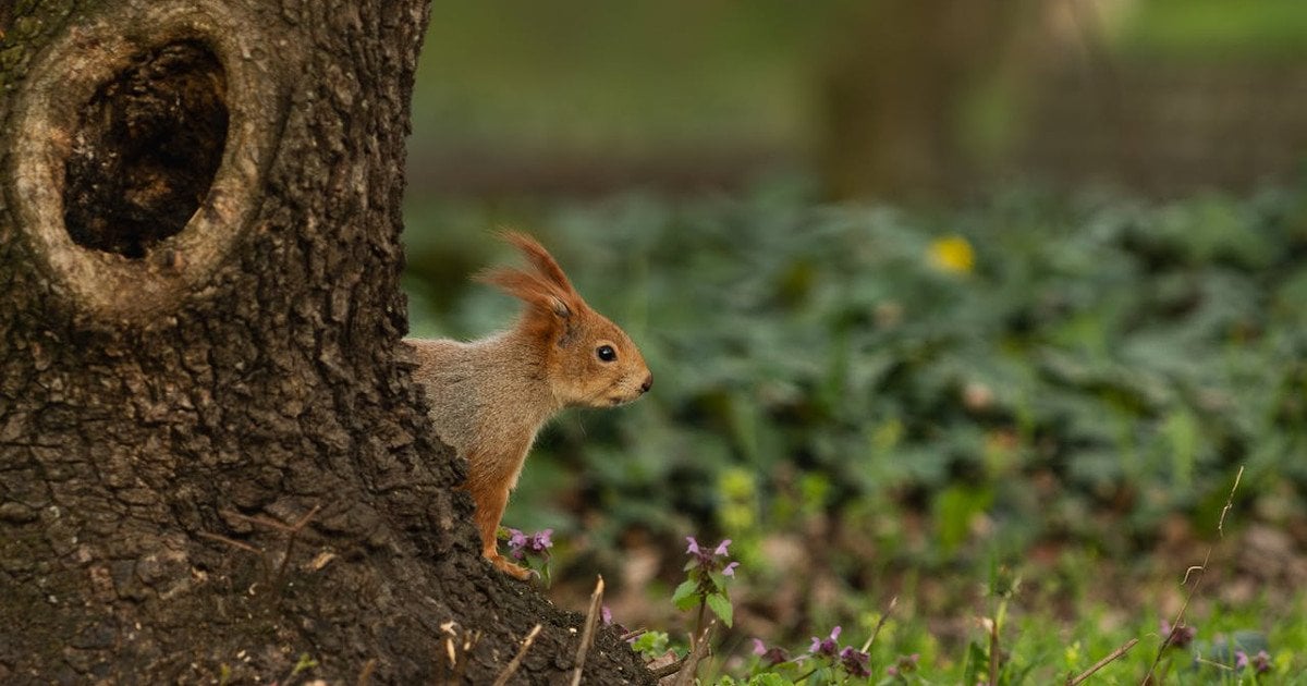 Якою буде погода в Україні найближчими днями