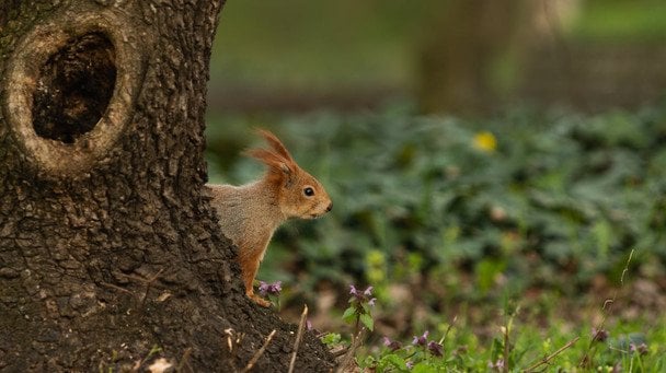 Різке похолодання після аномального тепла: синоптики розповіли, де чекати на заморозки та шквальний вітер