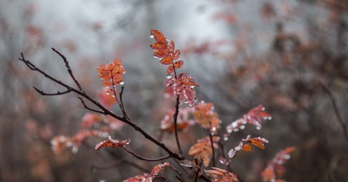 Погода в ноябре