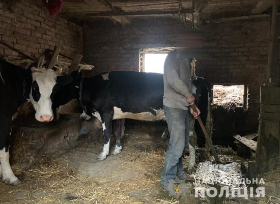 "Зґвалтував теличку": на Волині жінка, яка взяла у рабство чоловіків, видала пікантні подробиці про них