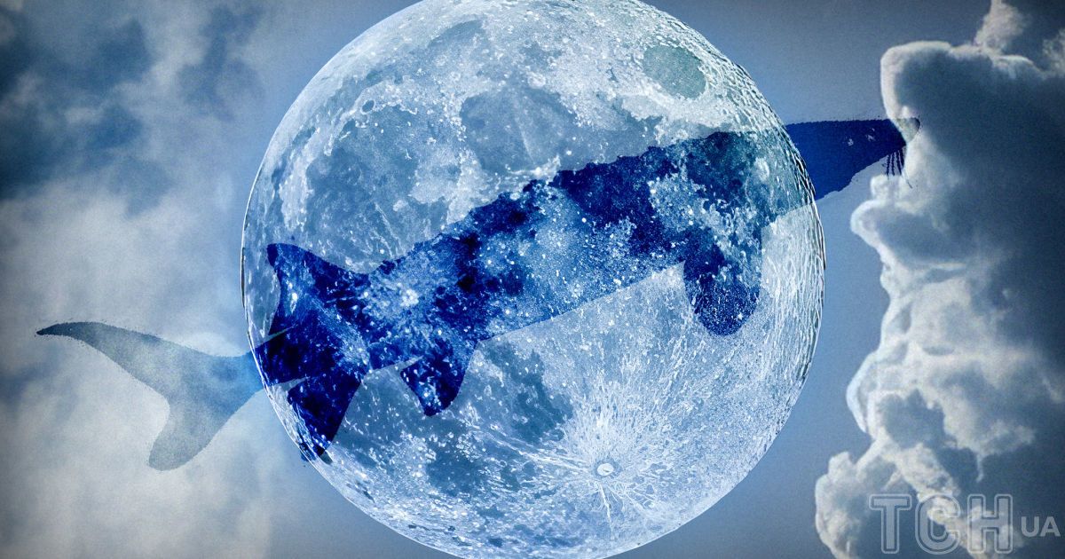 Энергия в этот день помогает освободиться от прошлого и подготовиться к новым этапам, используя силу Луны для личного и духовного роста.