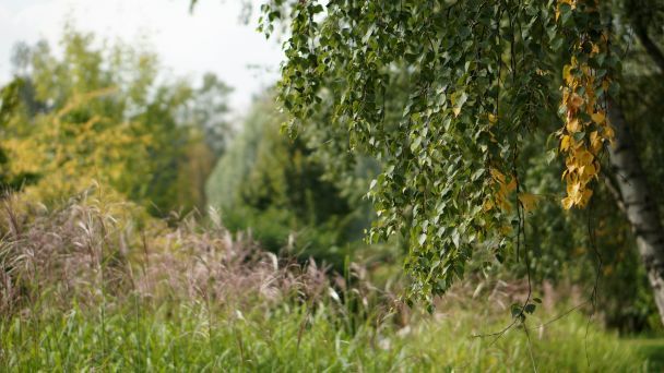 Народні прикмети 10 вересня / © Unsplash