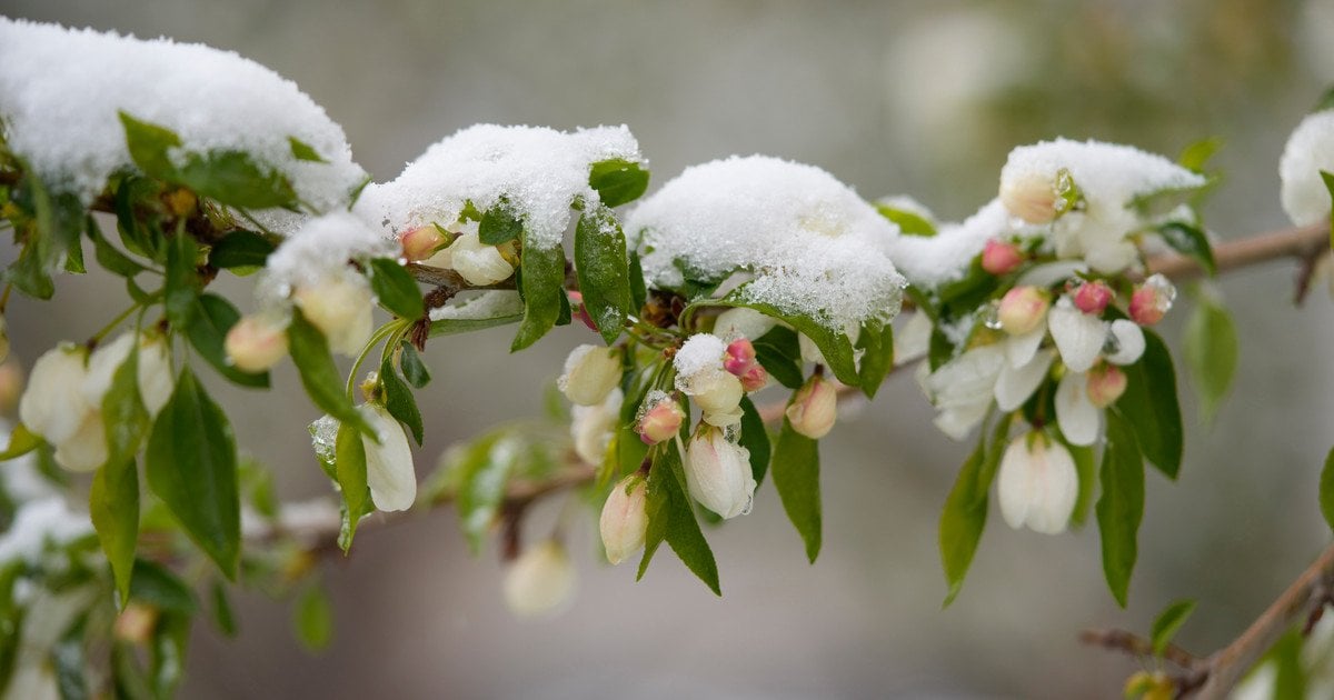 До України йде похолодання