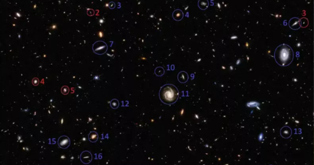 Снова SN 2024ggi обнаружили 10 апреля 2024 года в галактике NGC 3621