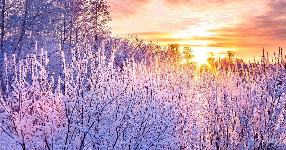 Зимовий пейзаж