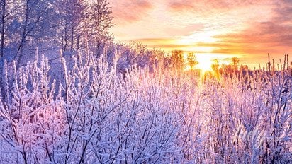 Зимовий пейзаж