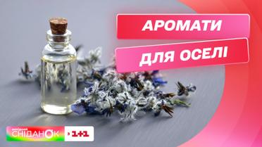 Аромати для оселі власноруч — Створюємо затишок разом із Катериною Руденко