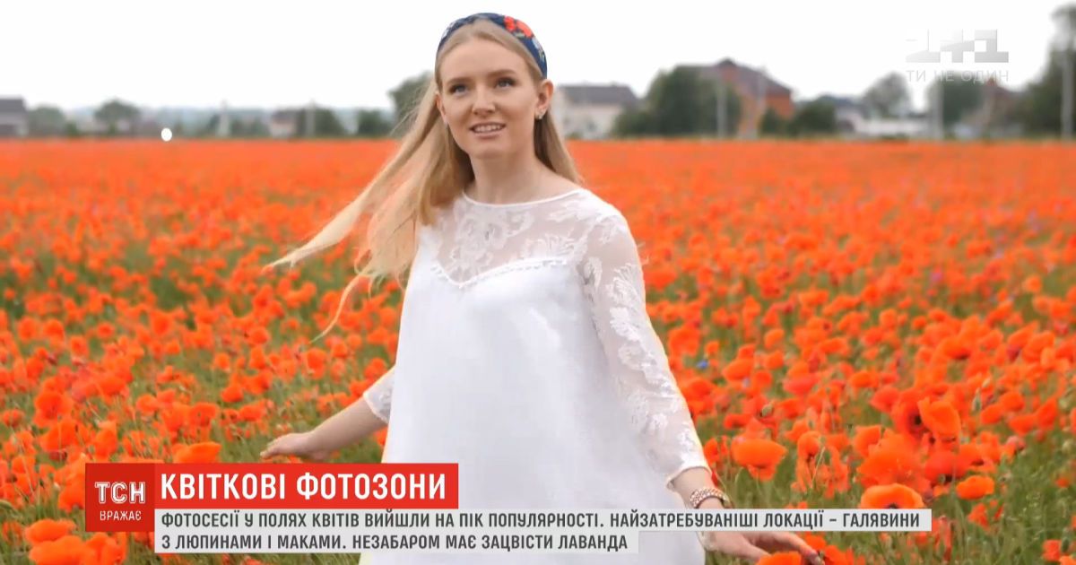 Люпины, маки и лаванда: фотосессии в полях цветов вышли на пик популярности