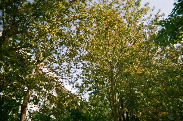Народні прикмети 8 вересня / © unsplash.com