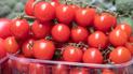 Ціни на продукти в умовах війни: що буде дорожчати і чому