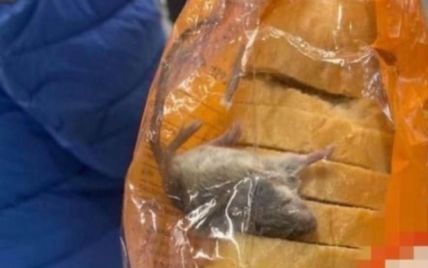 Хлеб с мышью внутри: новые подробности скандала в киевском супермаркете