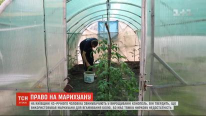 Люди поки що не готові: чому в Україні не можуть легалізувати медичний канабіс