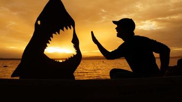 Фото вызвали немалый интерес среди юзеров