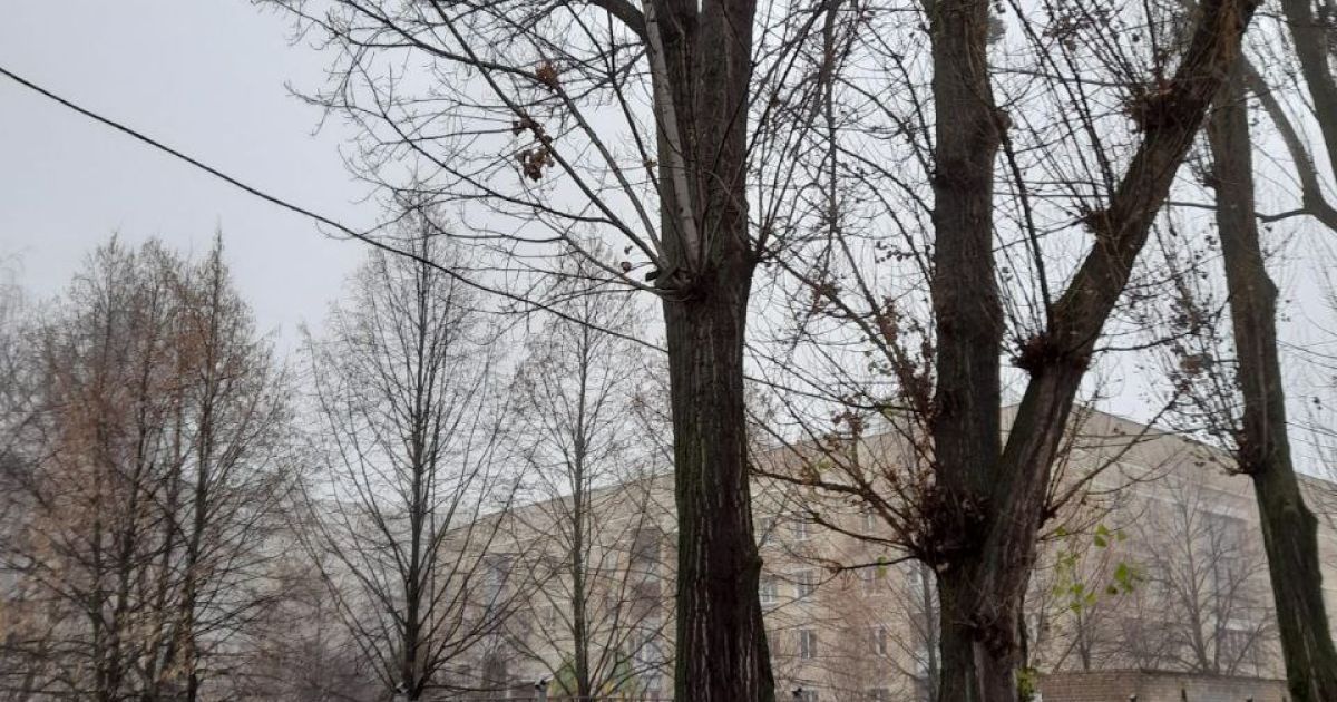 Фото потерпевшей