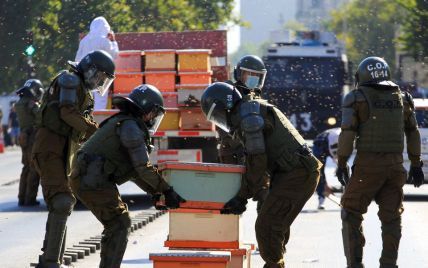У Чилі бджоли напали на поліцейських, які заходилися розганяти демонстрацію пасічників