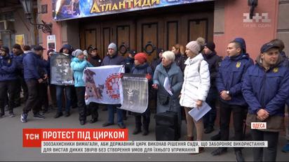 Зоозахисники пікетували Одеський державний цирк із вимогами дотримуватись закону