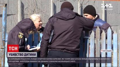 Вбивство Марії Борисової: чи знайшли підозрюваних резонансної справи
