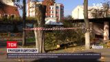 Новини України: чи можна було запобігти падінню дерева у Кременчуці і в якому стані хлопчик