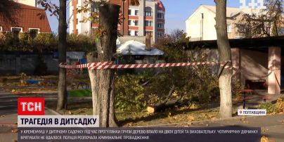 Новини України: чи можна було запобігти падінню дерева у Кременчуці і в якому стані хлопчик