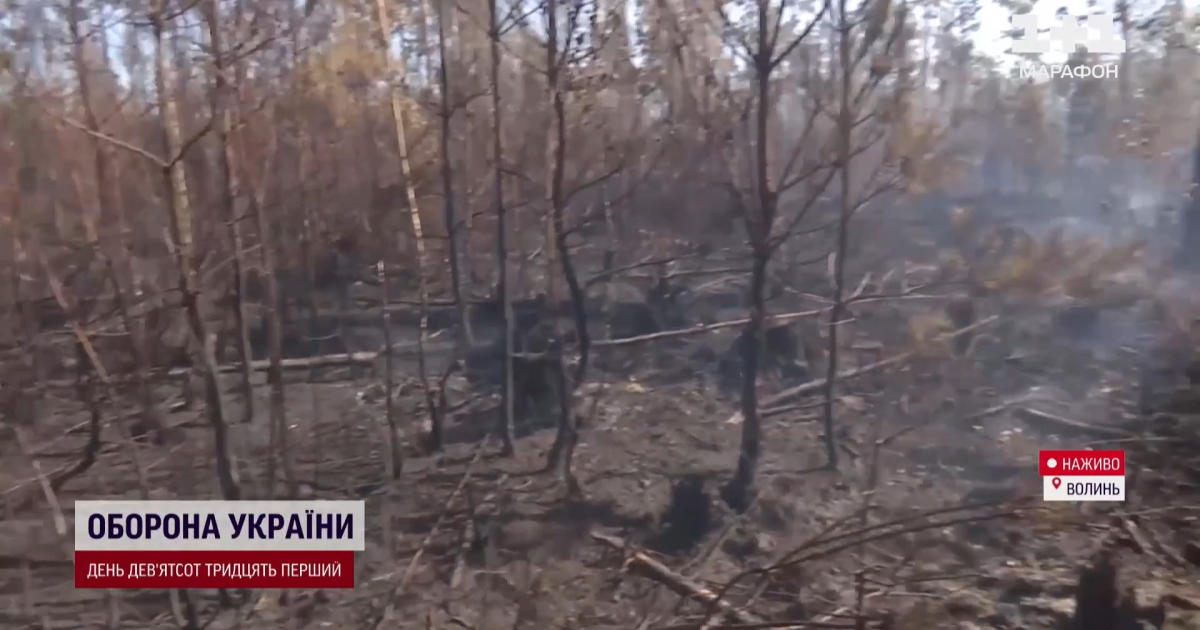 Лісові пожежі