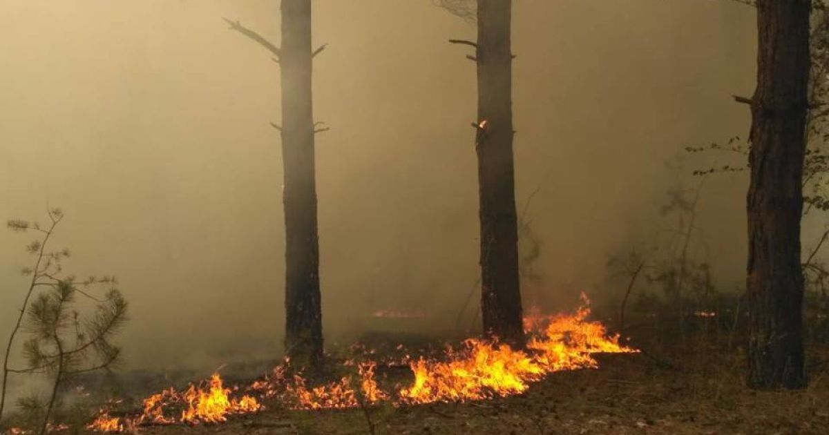В Украине удерживается высокий уровень пожарной опасности