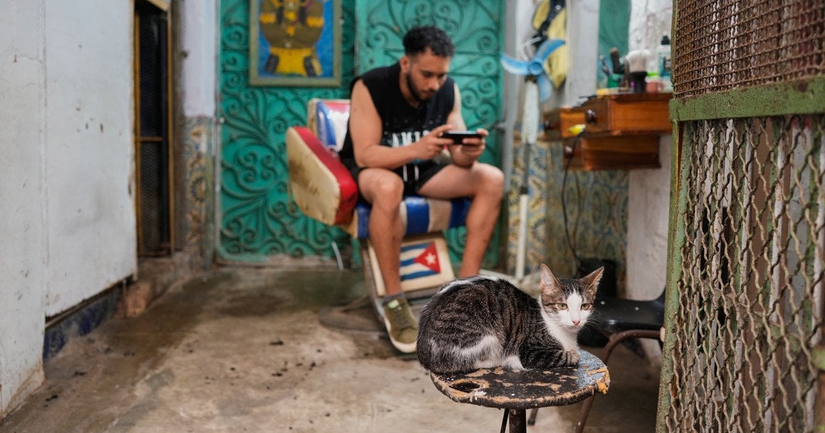 В Україні захищатимуть тварин за європейськими стандартами