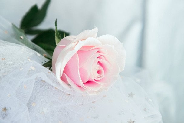 День ангела 6 січня — душевні привітання в прозі / © pexels.com