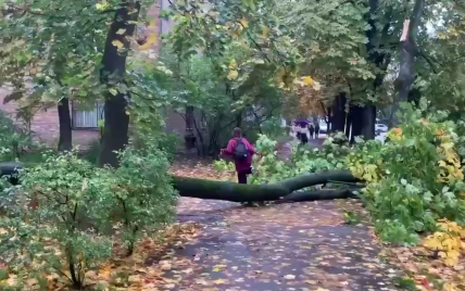 Негода в Києві наробила лиха: оголошено штормове попередження (відео)