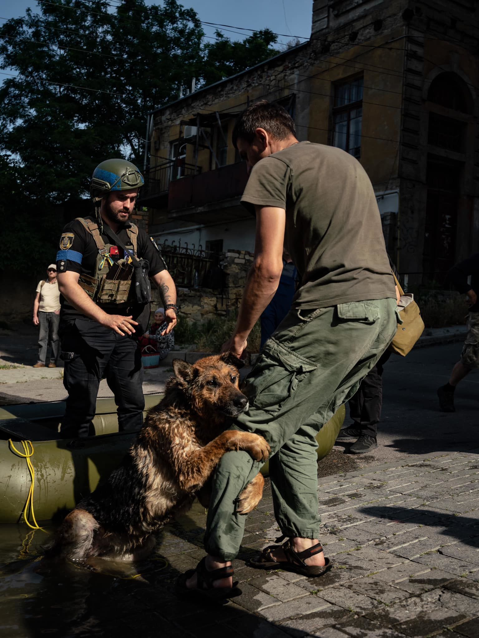 Собака обіймає рятувальника в Херсоні / Фото: Данило Павлов / © 