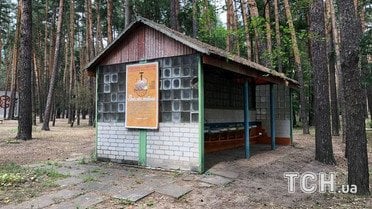Табір Яструбок, де отруїлися діти, Донецька область, Соснове_3 / © ТСН