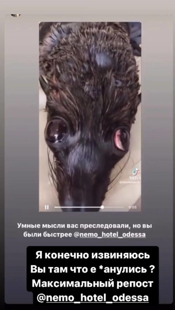 Скриншот із відео mashukovskiy / © 