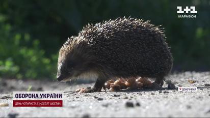 Успіхи ЗСУ поблизу Торецька: знищили до взводу росіян, просунулись і захопили трофеї