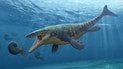 Тилозавр. Изображение discoverfossils