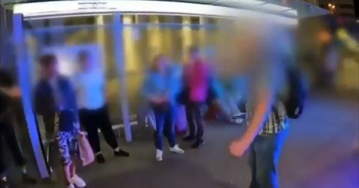 скриншот з відео