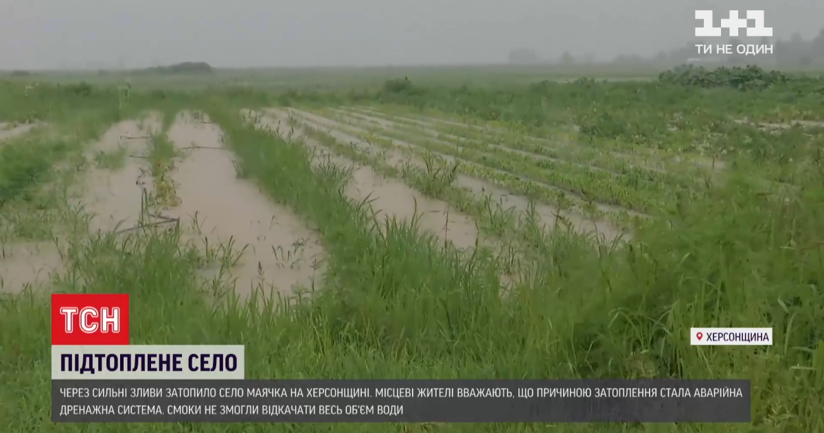Затоплены поля и огороды: жители села в Херсонской области третью неделю страдают от паводков