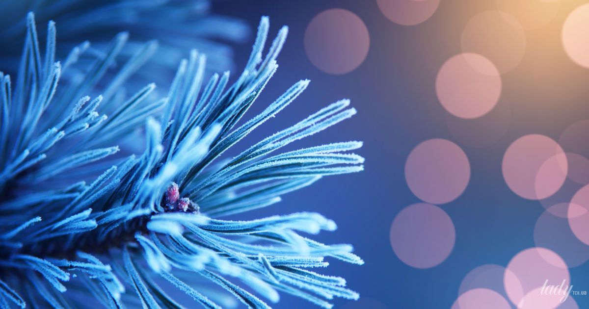 Гороскоп на 14 декабря для всех знаков Зодиака: день солнечного затмения