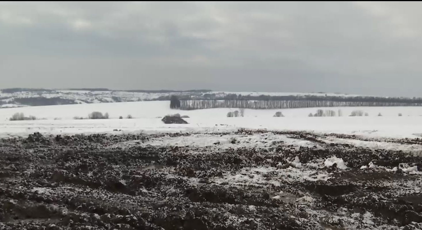 На Буковине вблизи человеческих паев захоронили несколько тысяч мертвых свиных туш