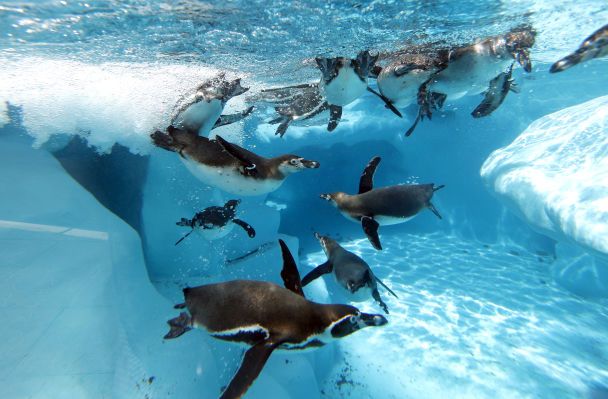  / © Associated Press