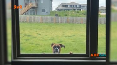 Добірка новин світу за 17 червня 2020 року