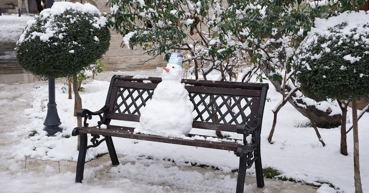 Месячный посевной календарь на декабрь 2025