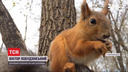 На лечение через белку: в Житомирской области мужчина спас животное, у которого был бешенство